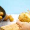 Blanchera potatis