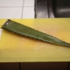 Att göra aloe vera juice