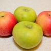 Göra äppelcider