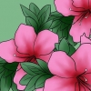 Att ta hand om azaleor