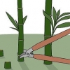 Döda bambu