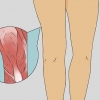 Massera benen