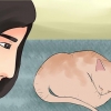 Avgöra om din katt är död