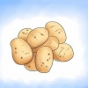 Odla potatis inomhus