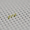 Broderi