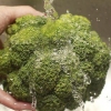 Förbered broccoli