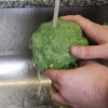 Skära broccoli