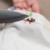 Ta bort chokladfläckar
