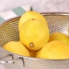 Att göra citronolja