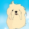 Identifiera dina adopterade blandraser