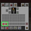 Tämja djur i minecraft