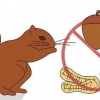 Hålla ekorrar ute