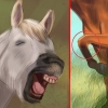 Skapa ett band med din häst genom natural horsemanship
