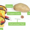 Att göra ett batteri av en potatis