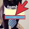 Ta bort en blogg på tumblr