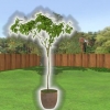 Plantera ett träd