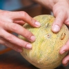 Köp en cantaloupe
