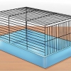 Tämja en hamster