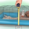 Sätta upp en hamsterbur