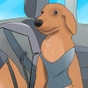 Att lugna en hund som är nervös i bilen