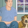 Lugna en hund under ett åskväder