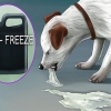 Få en hund att kräkas