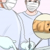 Hur man får en hund att sluta bita