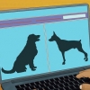 Adoptera en tjänstehund