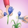 Leder en iris