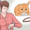 Sätt ett halsband på en katt