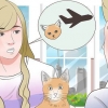 Transportera en katt med flyg