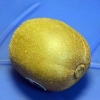 Mogna en kiwi