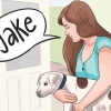 Skapa ett namn för din valp eller hund