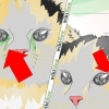Behandling av en ögoninfektion hos en katt