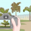 Ta bort en palm