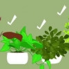 Att göra ett terrarium