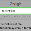 Ladda ner en torrent på android