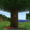 Hur man skapar en skylt i minecraft