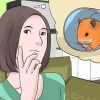 Att hitta en herrelös hamster