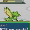 Utvecklande haunter