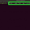 Hitta sökvägen till en fil i unix