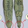 Se skillnaden mellan en krokodil och en alligator