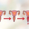 Bestäm din mest fertila dag för att bli gravid