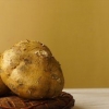 Förbereder jicama