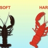 Hummermat