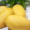 Förvaring av mango