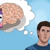 Tar melatonin