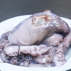 Förbered bläckfisk