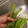 Laga okra