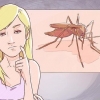Att skilja mellan malaria, dengue och chikungunya